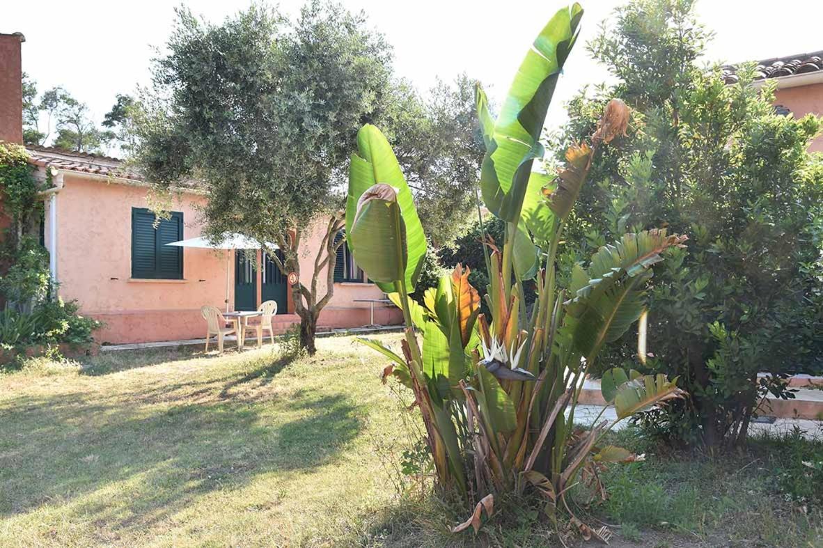 Terracorse Villa Figari  Luaran gambar