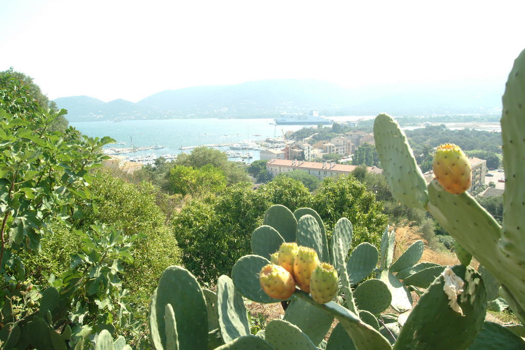 Terracorse Villa Figari  Luaran gambar